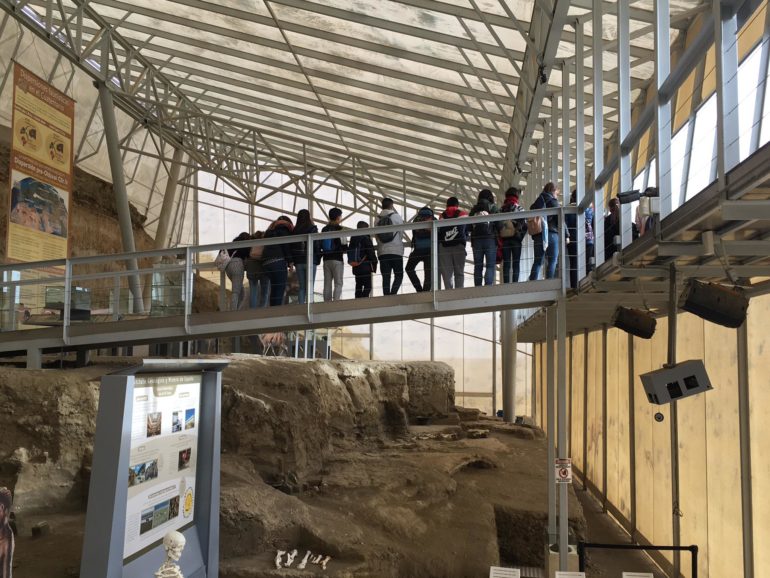 Comienza el programa de visitas guiadas a la Estación Paleontológica Valle del Río Fardes de Fonelas.