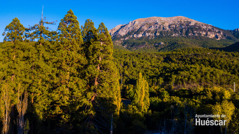 ¡¡SIERRA DE LA SAGRA  Y BOSQUE DE SECUOYAS EN HUÉSCAR!!