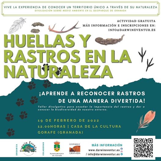 Huellas y rastros en la naturaleza.