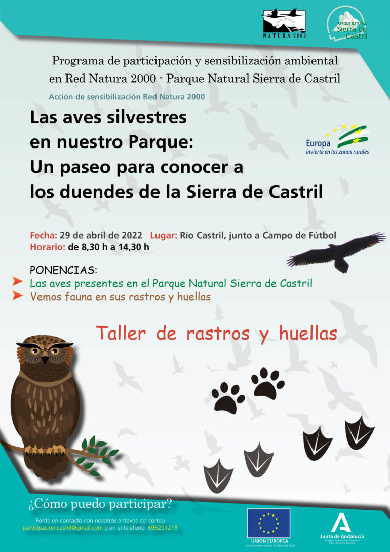 Jornada temática de sensibilización ambiental “Las aves silvestres en nuestro parque: Un paseo para conocer a los duendes de la Sierra de Castril”
