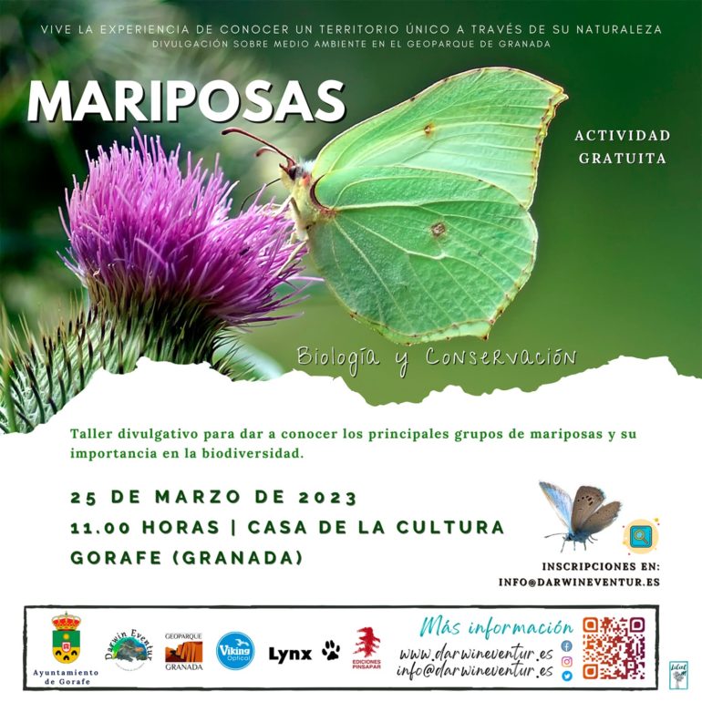 Mariposas