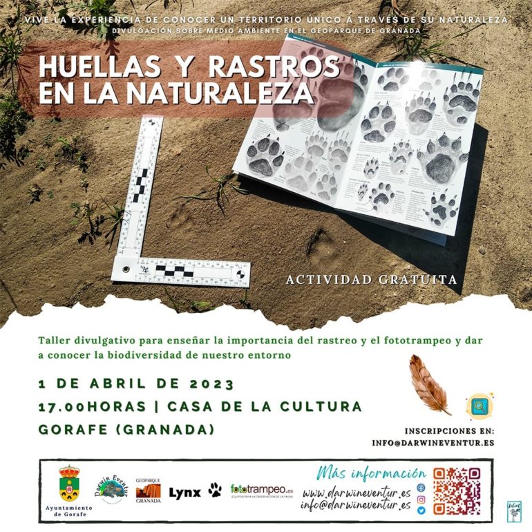 Huellas y rastros en la naturaleza.